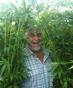 Greg Flavall in un campo di canapa