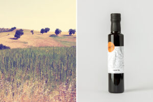 L'olio di canapa di Vitelium ©Davide Petrollino