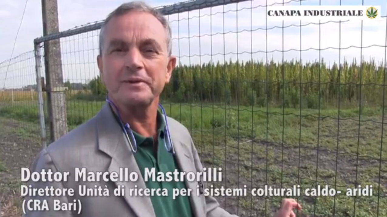 Dottor Marcello Mastrorilli CRA Bari