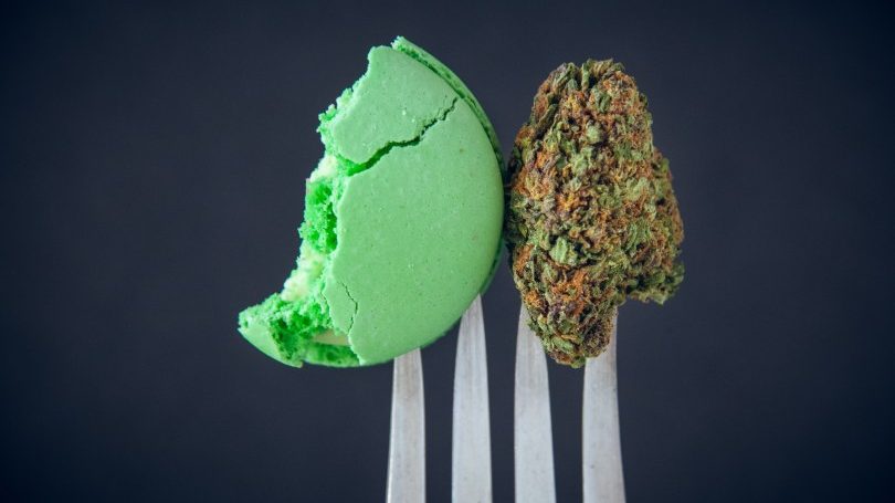 EIHA, CBD e Novel Food: nasce il consorzio per presentare le domande in forma associata