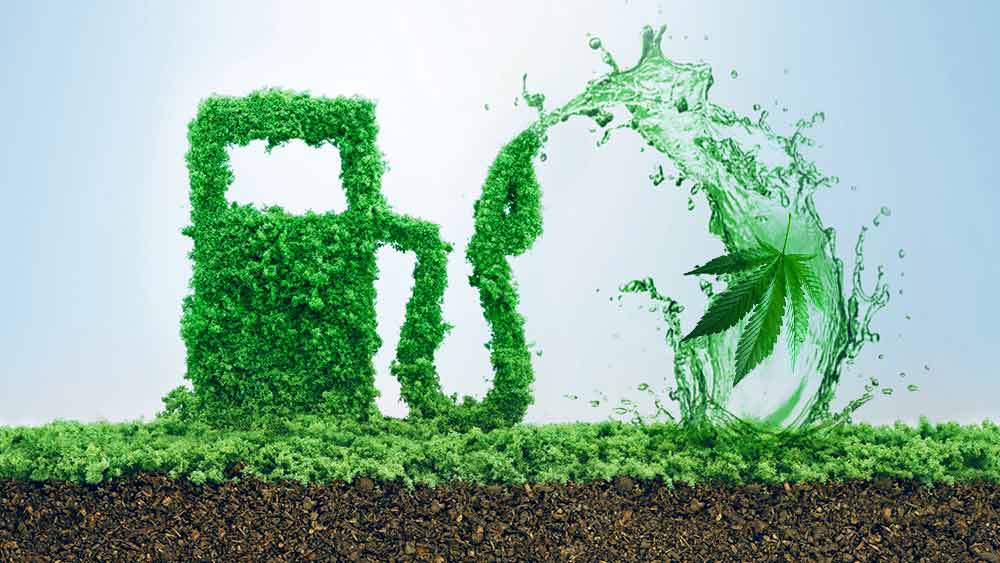 Biocarburanti ed energia pulita dalla canapa: start up francese investe 19 milioni di euro