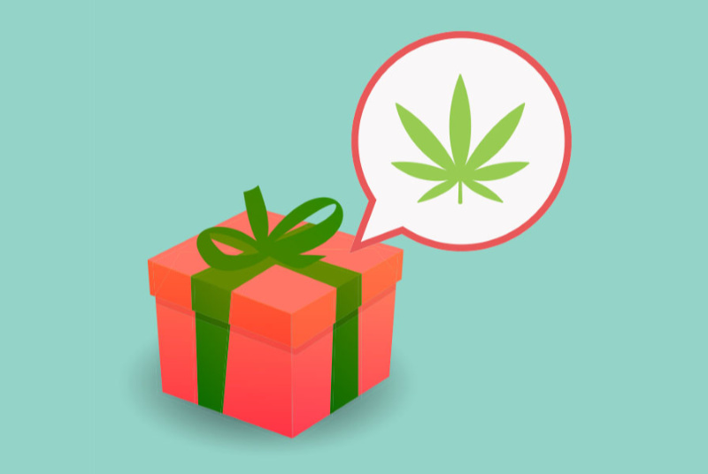 Cannabis light “di cittadinanza”: gratis con Isee sotto i 40mila euro, l’idea di JustMary