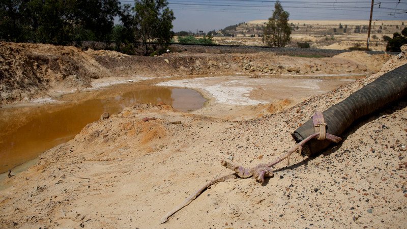 La canapa per ripulire i terreni resi tossici dall’estrazione mineraria
